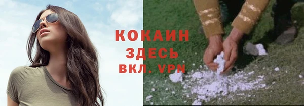 прущие грибы Лиски
