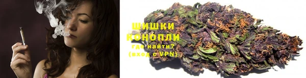 прущие грибы Лиски